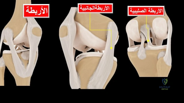 الأربطة